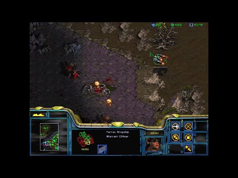 The Critter Campaign - Misery