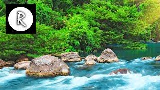 Relaxing Nature Sounds - Water Sound 24 Hours, Gentle River &amp; Stream