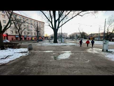 2022 Warsaw University of Technology|Ds Akademik,Ds Bratniak-Muszelka,Ds Pineska-Tulipan|Part-1