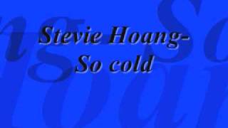 Stevie Hoang- So cold 2009