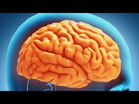 How the brain leads to Olympic gold