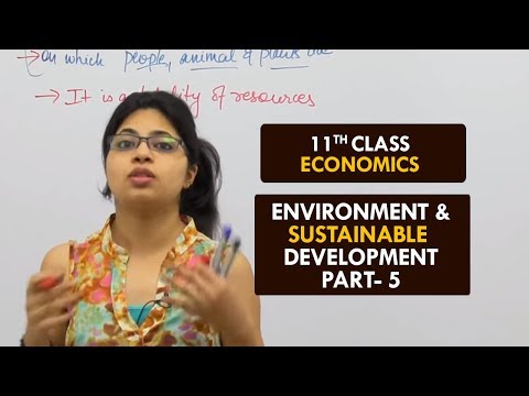 Environment & Sustainable Development - Part5 || Sustainable Development || Class XI || Hindi Video