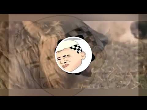 MC R10-BIRD BOX (LANÇAMENTO 2K19) DJ RAFA DE MACAE