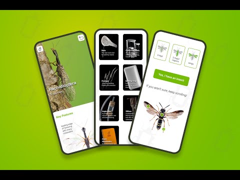 Bugdex