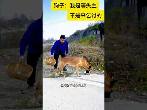 本来是好心，结果变成搞笑天花板