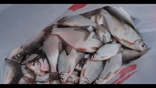 Рыбалка в муроме 2019 первый лед