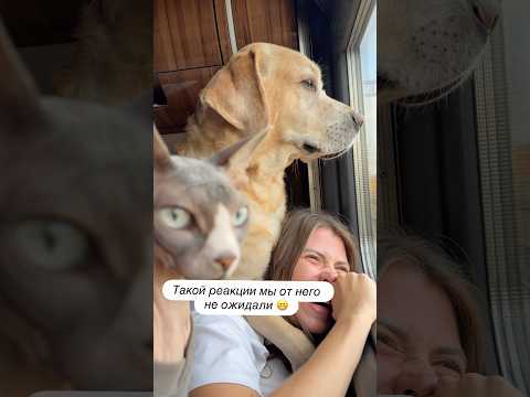 Он точно ее узнал😁