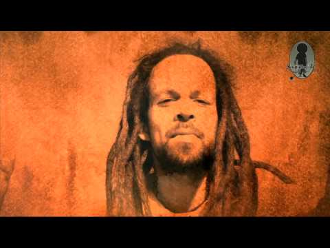 Collie Herb - Blib Cool