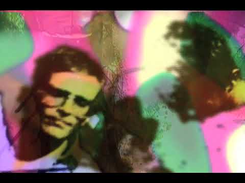 Tonstartssbandht - Hymn Our Garden (Official Video)