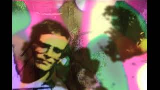 Music video thumbnail preview for Tonstartssbandht - Hymn Our Garden (Official Video) by Tonstartssbandht