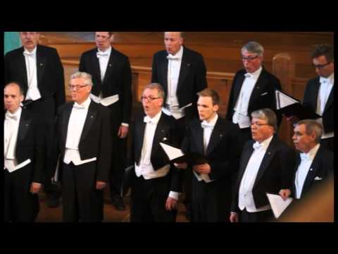 Glad så som fågeln