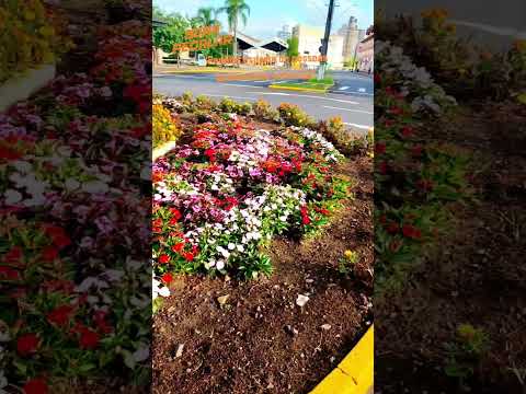 Porto União SC/ Pedalar esporte de pessoas apaixonadas pela vida.