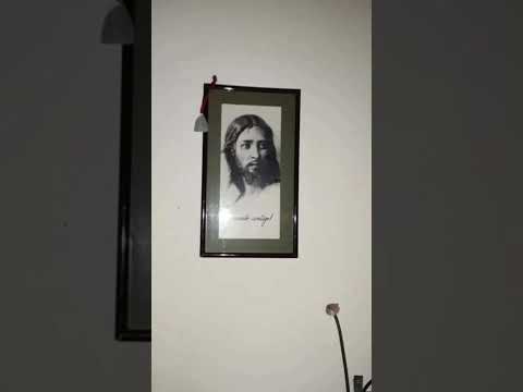 Tarotista Violeta En Pergamino Pcia de Buenos Aires Argentina