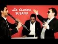 Susanu La Lautari Official Video