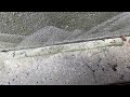 Controlling the Ants Outside of the Home in Barnegat, NJ
