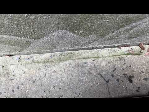 Controlling the Ants Outside of the Home in Barnegat, NJ