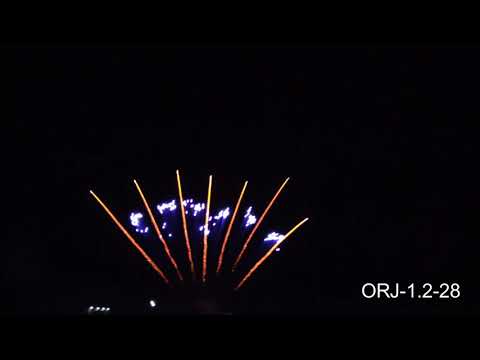 ORJ-1.2-28 - One row,Ф30mm,13s