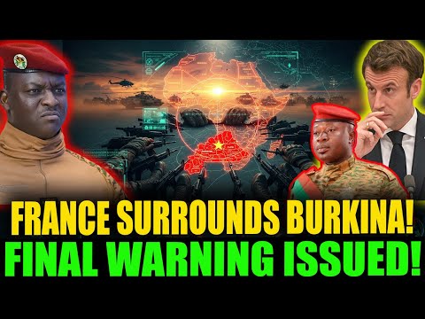 Dayvibe and Synchronic Mind