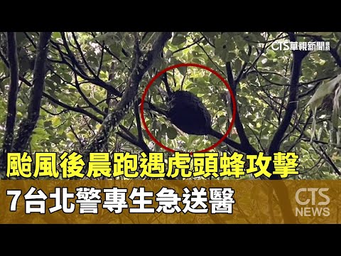 颱風後晨跑遇虎頭蜂攻擊　7台北警專生急送醫
