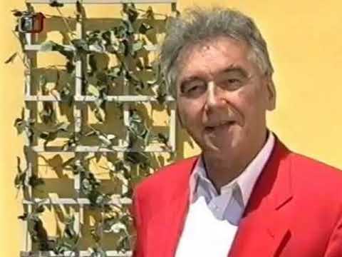 Vejvodova kapela & Josef Zíma   Kde jsi, moje mládí