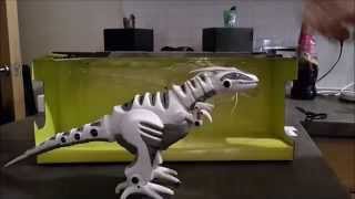 WowWee Робот-динозавр Mini RoboRaptor (W8195) - відео 4