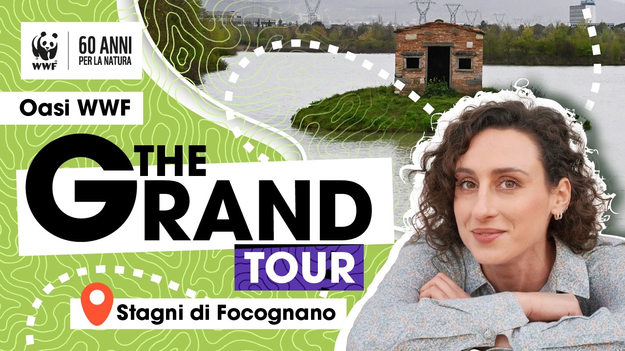 Stagni di Focognano e l'arte di ricostruire - Oasi WWF The Grand Tour