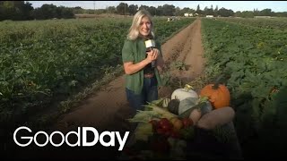 Pick fresh produce at Davis Ranch Produce!