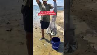 Download lagu Rezki awal pagi jalasekali campak ni hasil dio #kedaimullanhanafiditiktok #tigaQul #alfatihah #yout mp3 Download lagu Rezki awal pagi jalasekali campak ni hasil dio #kedaimullanhanafiditiktok #tigaQul #alfatihah #yout mp3