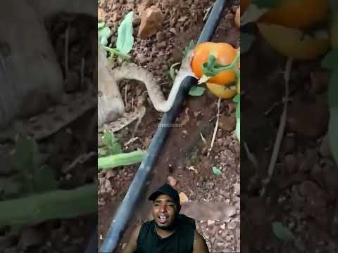 alerta con este video te puede salvar #shorts #shortvideo #short