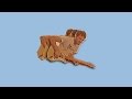 VULFPECK /// Rango II 