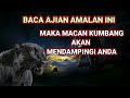 Ajian Khodam Macan Kumbang Rasakan Khasiatnya