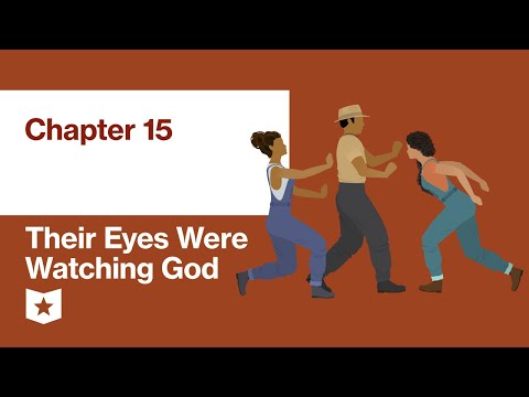 Their Eyes Were Watching God by Zora Neale Hurston | Chapter 15