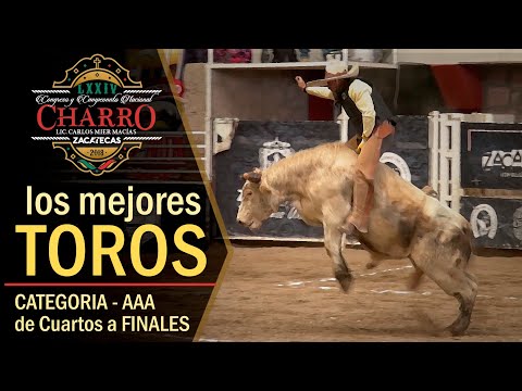 THE BEST BULLS - From the quarterfinals to the Triple AAA finals - Zacatecas Congress 2018