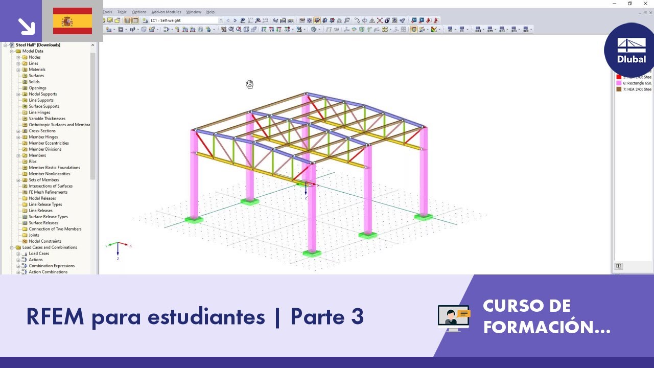 Curso de formación en línea | RFEM para estudiantes | Parte 3