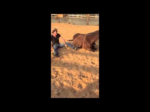 Luke O'Shea trick riding at Katherine Outback Experience