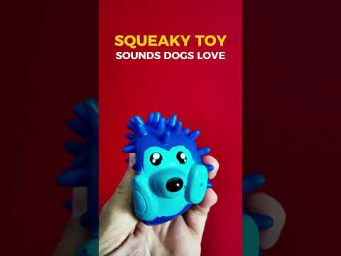 Squeaky Toy Sounds That Dogs Love  #dogsounds #toys #petsounds