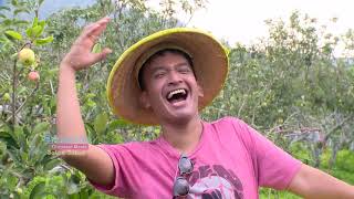 Download lagu BROWNIS - Sensasi Makan Apel Langsung Petik Dari Pohonnya! (14/10/18) Part 3 mp3