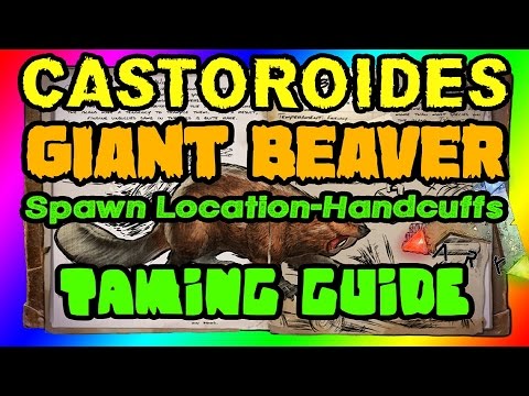 CASTOROIDES | ARK: Survival Evolved | Tame Guide | SPAWN AREA | Taming | Giant Beaver | Handcuffs
