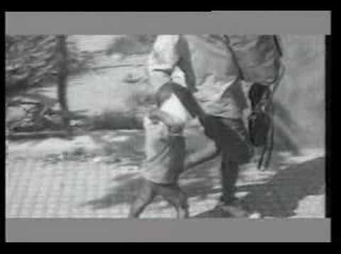 MARCO QUELHAS "Será Que Um Dia"