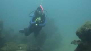 preview picture of video 'buceo de cuates en anton lizardo veracruz con sobuca'