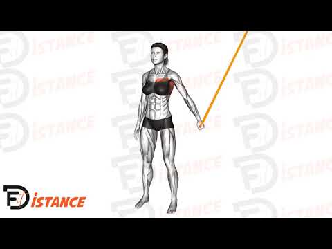 Adduction de l'épaule avec élastique - Exercice Adduction de l'épaule avec élastique en vidéo Adduction de l'épaule avec élastique - Exercice Adduction de l'épaule avec élastique en vidéo
