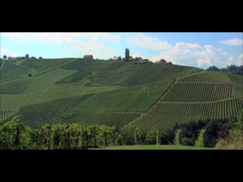 Terroir erleben - Weingut Lackner Tinnacher, Südsteiermark