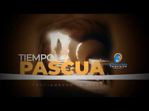 JUEVES 28/05/2026.| JESUCRISTO, SUMO Y ETERNO SACERDOTE.