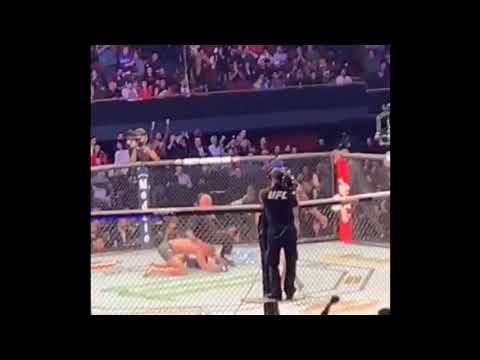 UFC 232 Jon Jones ground and pound finish v Alexander Gustafsson