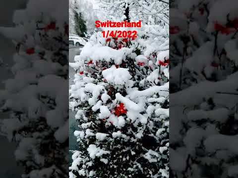 Switzerland Ostermundigen