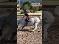 My biggest fear 🥹🐴❤️‍🩹 Love u Gardeur! #gilaryeq #equestrian #horse #horsegirl #fyp #ponies #fail