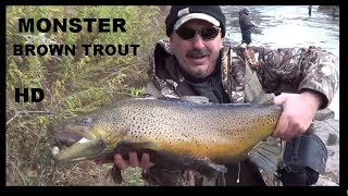 preview picture of video 'MONSTER BROWN TROUT - BURT DAM'