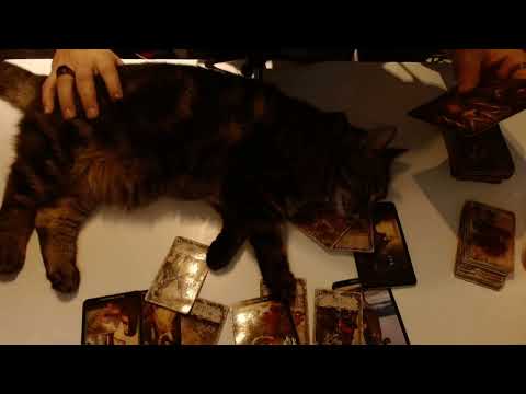 ALL SIGNS - What Will January Bring? Love💜 Career💰 Extra✨ //TIMESTAMPS