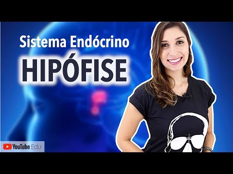 Pituitary gland: Endocrine System | Anatomy and etc.