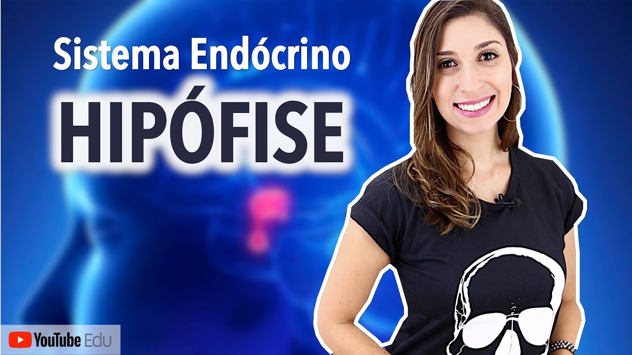 Hipófise: Sistema Endócrino | Anatomia e etc
